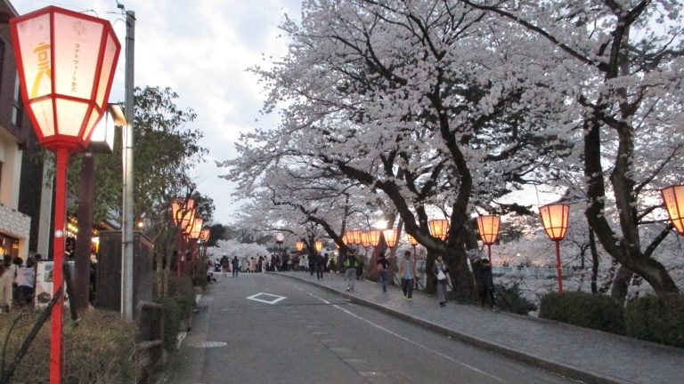 金沢のお花見18 兼六園 金沢城ライトアップ 金沢を観光してみたいかも 金沢は歩いて楽しむ不思議感覚の街です