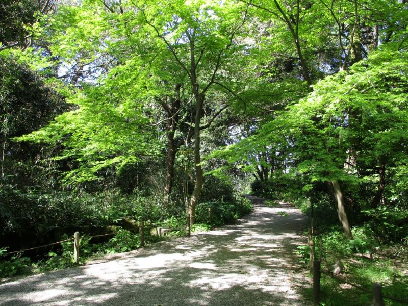 本丸園地